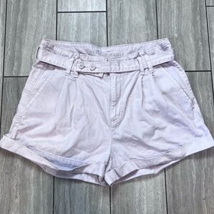 American Eagle Womens Paper Waist Purple High Rise Shorts Size 10